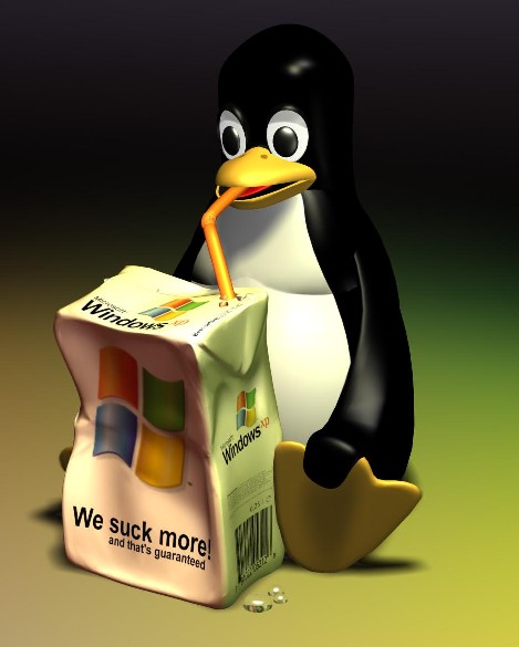 Windows suck more